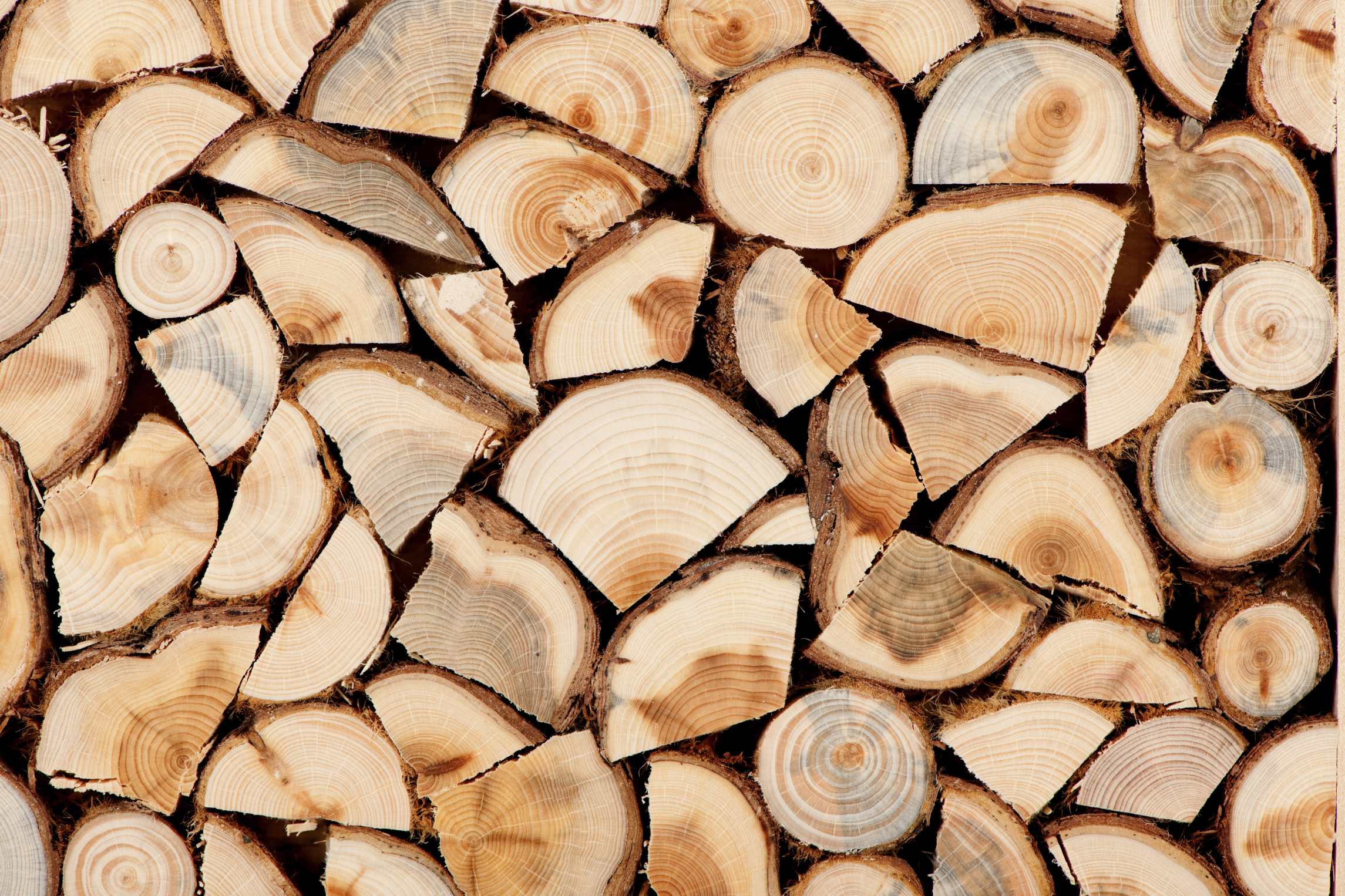 Венис - Предлага дърва за огрев 25560