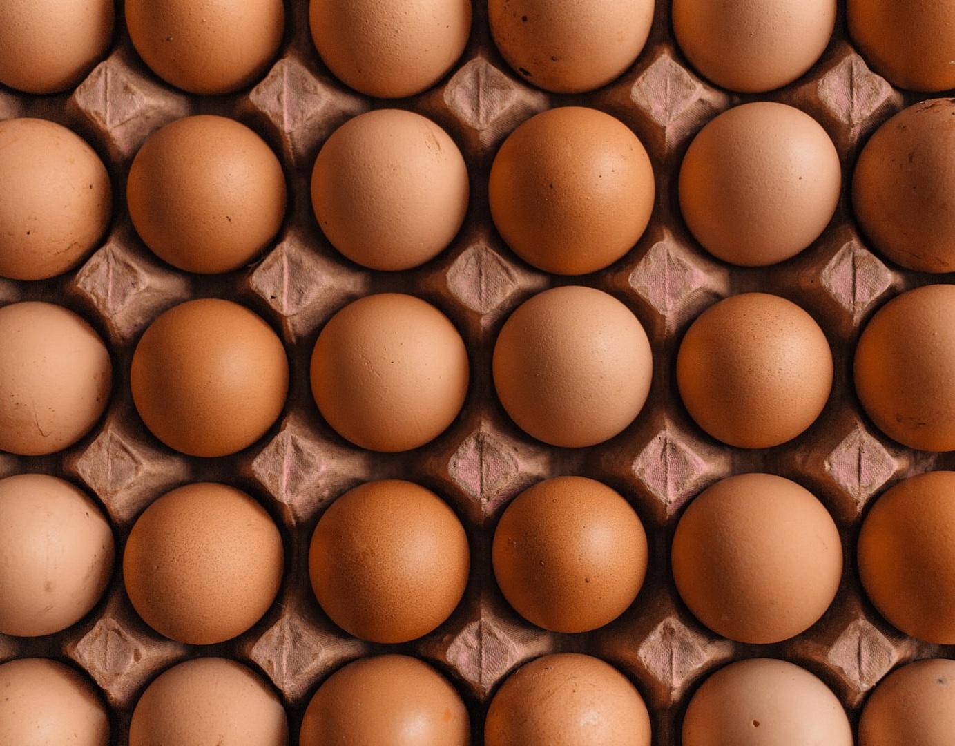 Хепи Егс / Happy Eggs Ферма за яйца 26784