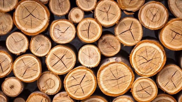  Склад за дървен материал Ломско шосе Костинброд