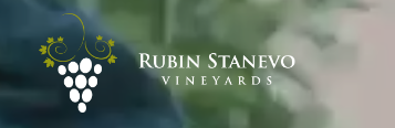 Rubin Stanevo Vineyards