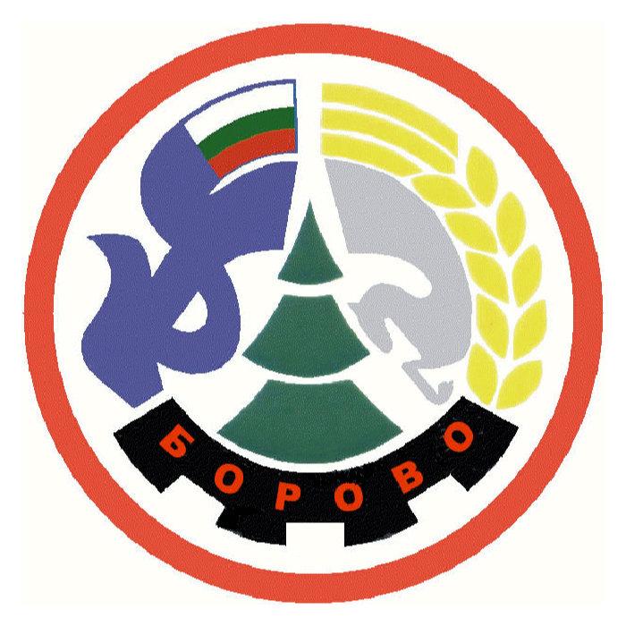 Община Борово