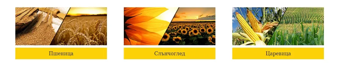 petrov1(1)_iViS