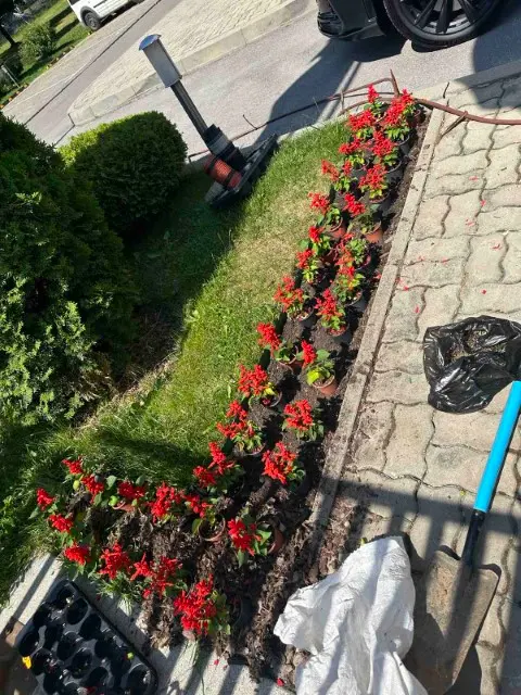 11_mxgK