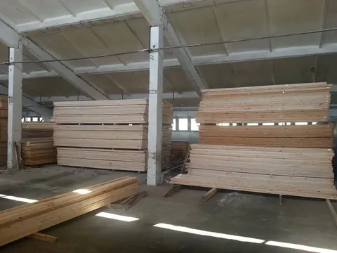 461992543_2949728245229850_2894485241002560396_n_2BSA