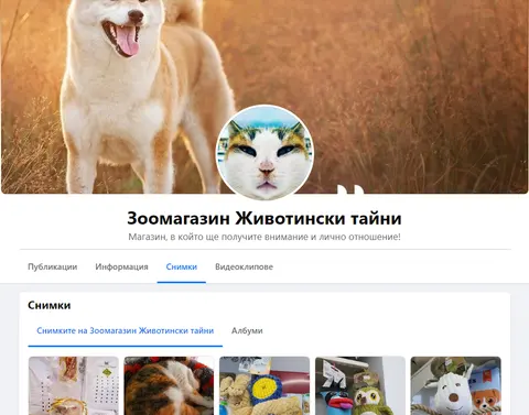 ScreenHunter9991_uL8Z