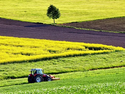 agriculture-1619437_1920_swM7