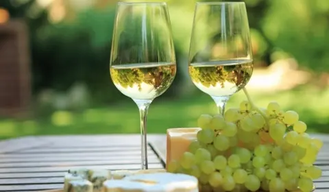 bqlo-vino-grozdence_nJNH