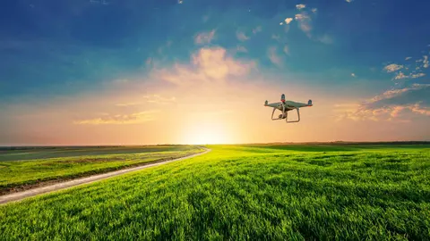 dron-v-polet-nad-nivi_hSaA