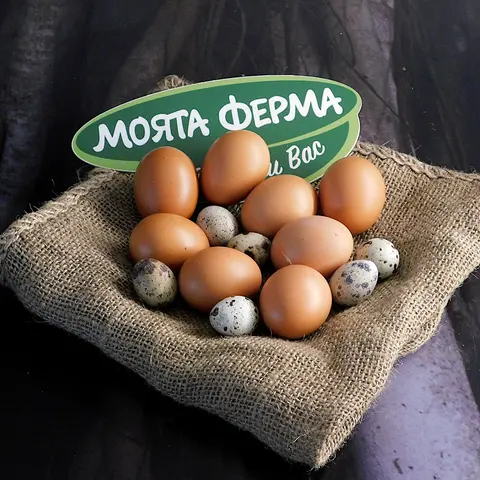 eggs_HqfS
