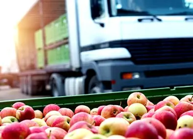 el-transporte-de-alimentos-por-carretera-academia_1_6oDH