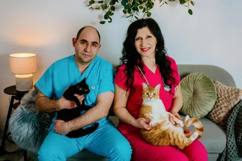 ВЕТЕРИНАРЕН КАБИНЕТ ПРИМА ВЕТ — снимка 7 от сайта на фирмата