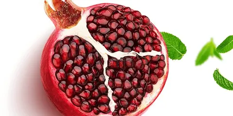 КЕТЪРИНГ СОФИЯ — снимка 6 от сайта на фирмата