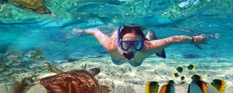 4 СЕЗОНА ТРАВЪЛ / 4 SEASONS TRAVEL — снимка 1 от сайта на фирмата