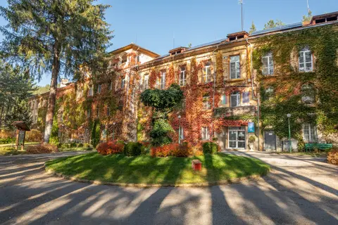СБДПЛРПФЗ Белодробна болница Света Петка Българаска — снимка 10 от сайта на фирмата
