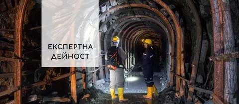 ГЕОЛОГИЧЕСКИ ИНСТИТУТ СТРАШИМИР ДИМИТРОВ — снимка 3 от сайта на фирмата