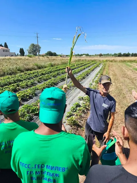 ПГСС Гео Милев — снимка 6 от сайта на фирмата