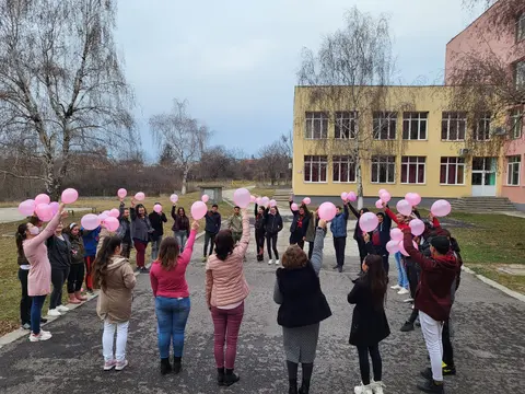 ПГСС Ситово — снимка 1 от сайта на фирмата