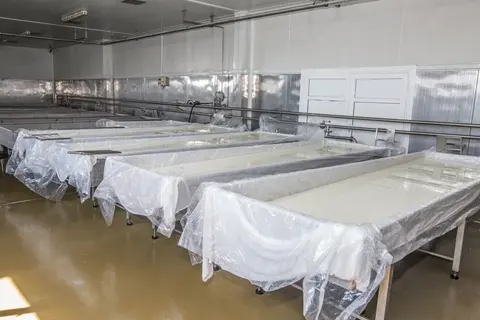 МИЗИЯ МИЛК  ООД — снимка 9 от сайта на фирмата
