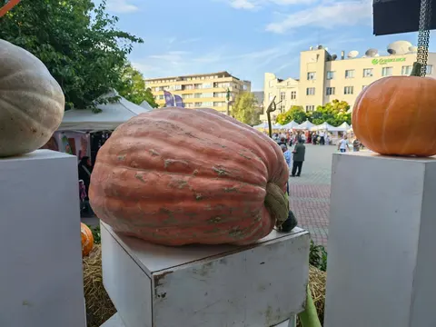 ОБЩИНА СЕВЛИЕВО — снимка 4 от сайта на фирмата