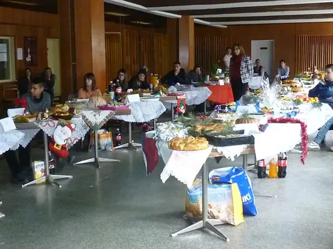 НАЦИОНАЛНА ПРОФЕСИОНАЛНА ТЕХНИЧЕСКА ГИМНАЗИЯ ШАНДОР ПЕТЬОФИ РАЗГРАД/ НПТГ Шандор Петьофи Разград — снимка 1 от сайта на фирмата