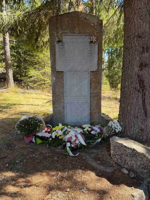 ОБЩИНА ВЕЛИНГРАД — снимка 4 от сайта на фирмата