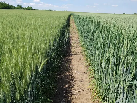 ПРОФИАГРО БЪЛГАРИЯ — снимка 8 от сайта на фирмата