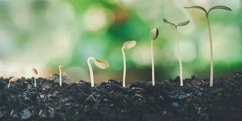 БУЛАГРО МАШИНИ — снимка 5 от сайта на фирмата