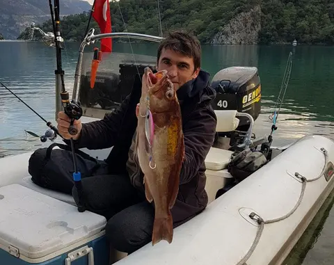 Плодекс ЕООД — снимка 7 от сайта на фирмата