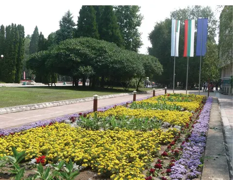 ПАРКСТРОЙ — снимка 2 от сайта на фирмата
