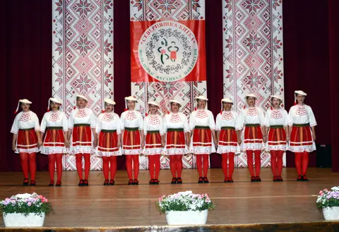 Народно читалище Павликени Братство 1884 — снимка 2 от сайта на фирмата