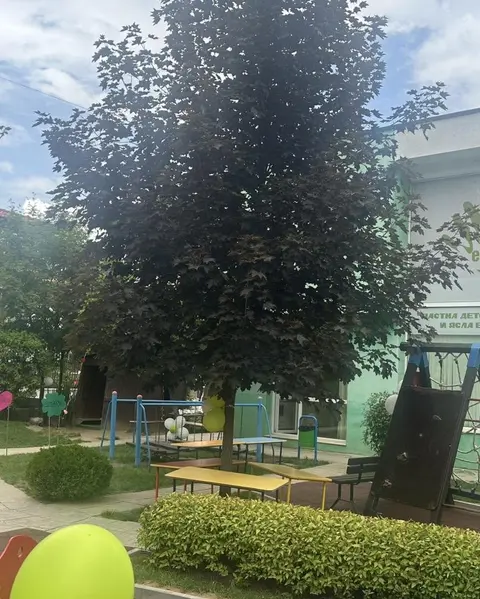 ДЕТСКА ГРАДИНА И ЯСЛА ЕКО ДАРА ( ЕКО ДАРА СОФИЯ ) — снимка 4 от сайта на фирмата