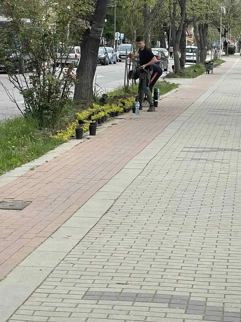 Бянови — снимка 5 от сайта на фирмата
