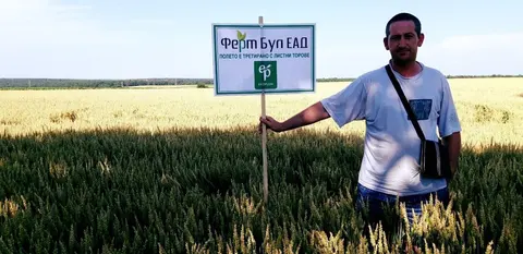 Ферт бул — снимка 9 от сайта на фирмата
