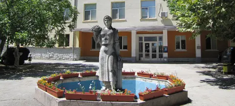 МБАЛ Луковит — снимка 1 от сайта на фирмата