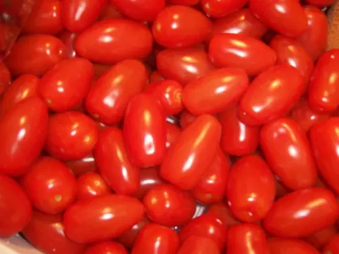 Българската Асоциация на Производителите на Оранжерийна Продукция — снимка 3 от сайта на фирмата