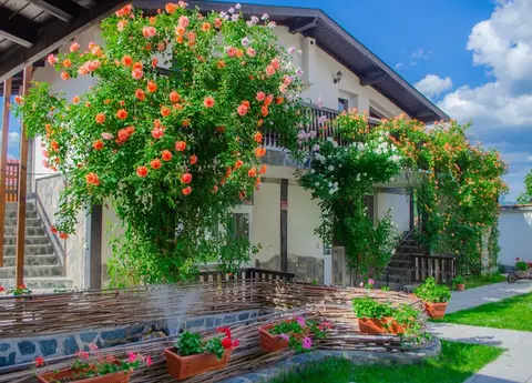 Forest Dream - Къща за гости и вила в Сапарева баня — снимка 1 от сайта на фирмата
