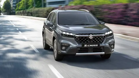 МИРКАТ ООД — снимка 2 от сайта на фирмата