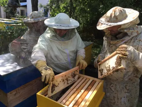 МЕД И ПЧЕЛНИ ПРОДУКТИ БГ КУОЛИТИ ХЪНИ — снимка 3 от сайта на фирмата