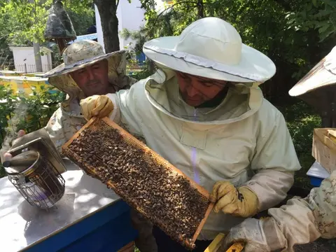 МЕД И ПЧЕЛНИ ПРОДУКТИ БГ КУОЛИТИ ХЪНИ — снимка 4 от сайта на фирмата