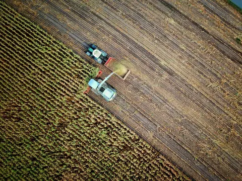 АГРОНИК / Agronik - Изкупуване на зърно и зърнопреработка Ямбол — снимка 3 от сайта на фирмата