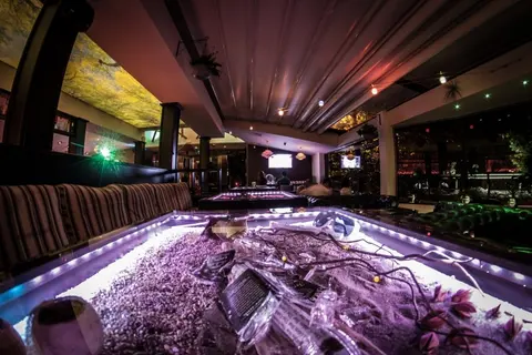 The Garden Bar — снимка 3 от сайта на фирмата