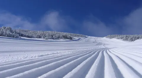 ProX-treme Ski Depot — снимка 7 от сайта на фирмата