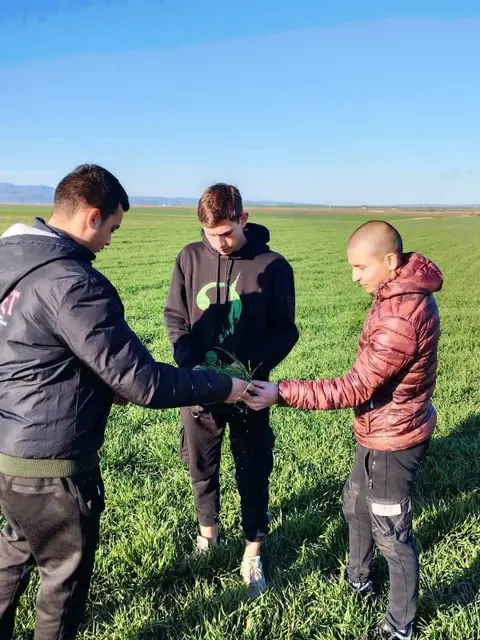 ПГ по земеделие Христо Ботев — снимка 3 от сайта на фирмата
