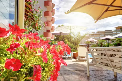 Saint Valentine Hotel - Cheap vacations Sunny Beach 2022 — снимка 10 от сайта на фирмата