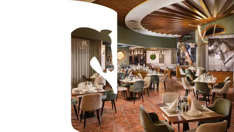 Конна база Тракиец — снимка 2 от сайта на фирмата
