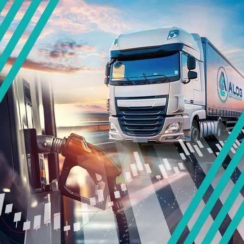 Alexander Logistics — снимка 4 от сайта на фирмата