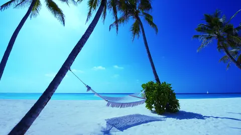 БАЯ ТУРС ООД — снимка 6 от сайта на фирмата