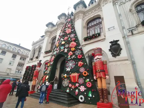 Меджик Трип — снимка 1 от сайта на фирмата