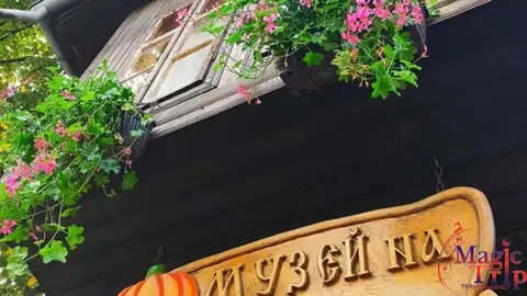 Меджик Трип — снимка 5 от сайта на фирмата