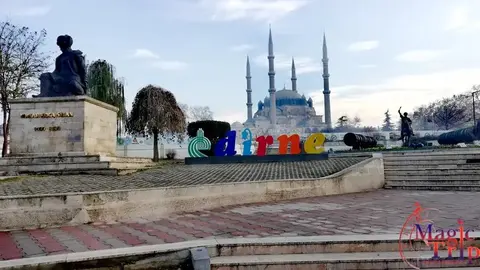 Меджик Трип — снимка 7 от сайта на фирмата
